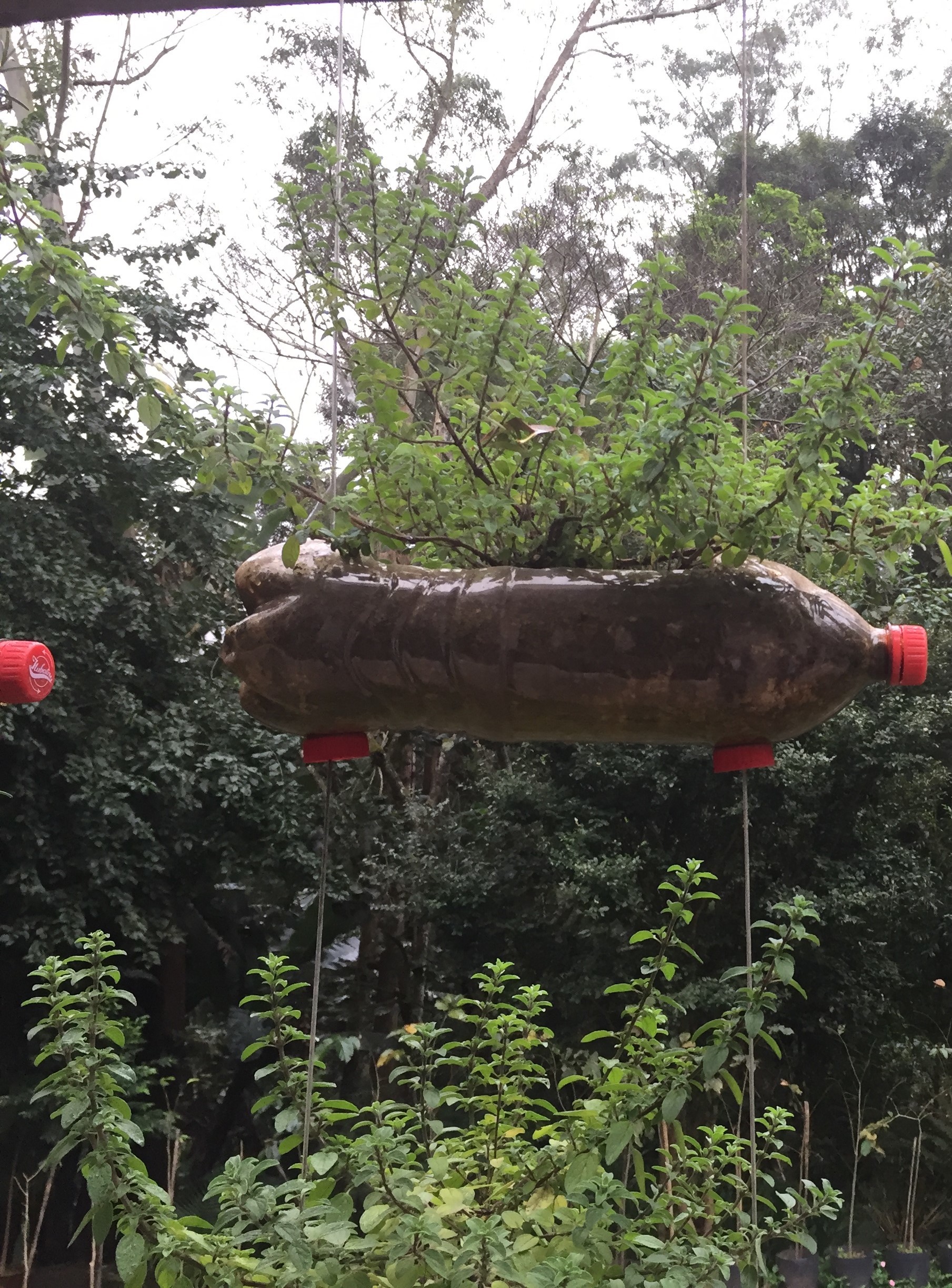 ブラジル・サンパウロ市郊外の埋立地ガスプラント３